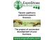 Progetto ExpoShoes online